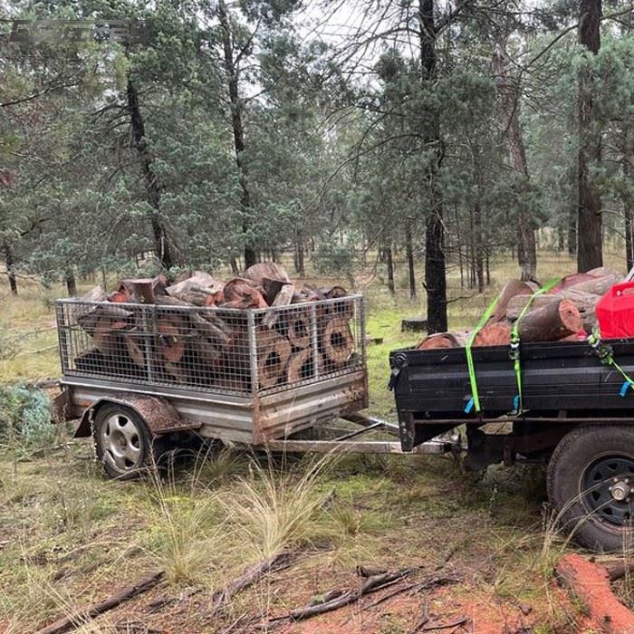 Box Trailer Removable Cage